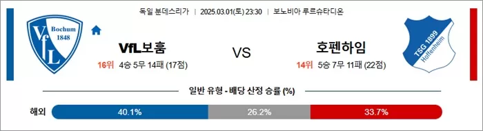 3월 01일 분데스리가 VfL보훔 vs 호펜하임